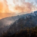 Legal Help After a Natural Disaster