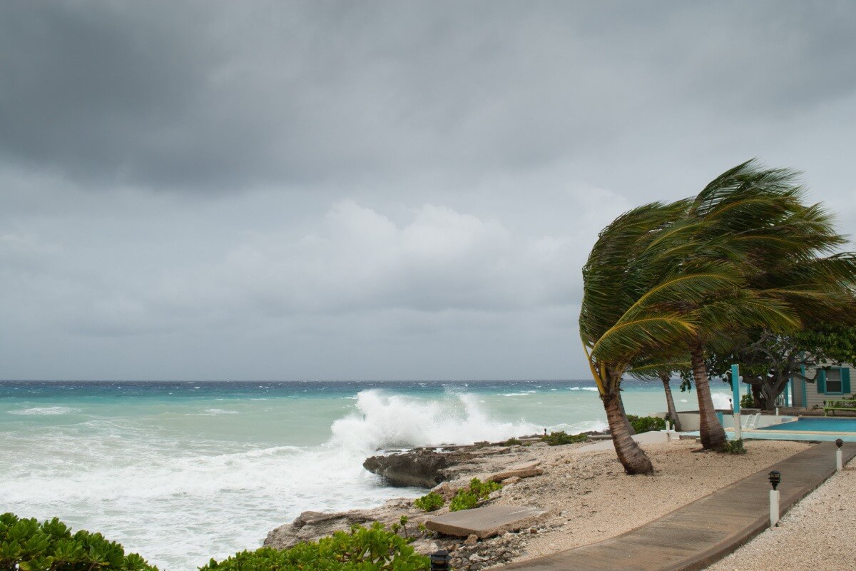 Hurricane Ida: The Devastation of Surging Storms Meets the Strength of Resurging Communities
