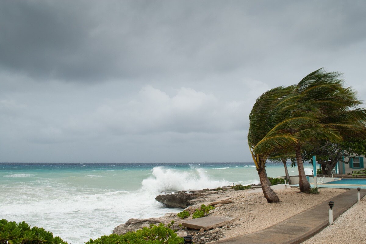 Hurricane Ida: The Devastation of Surging Storms Meets the Strength of Resurging Communities 